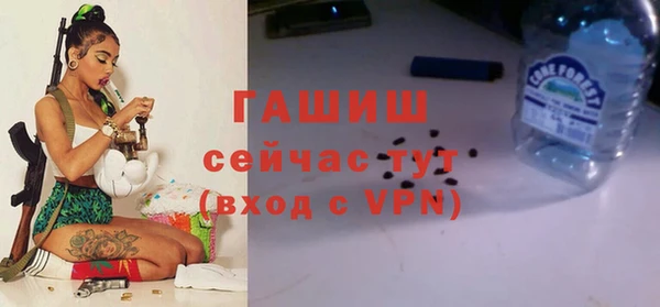 прущие грибы Армянск