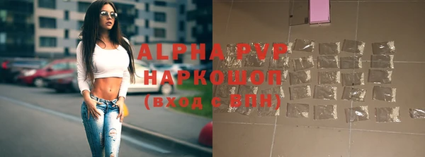 прущие грибы Армянск