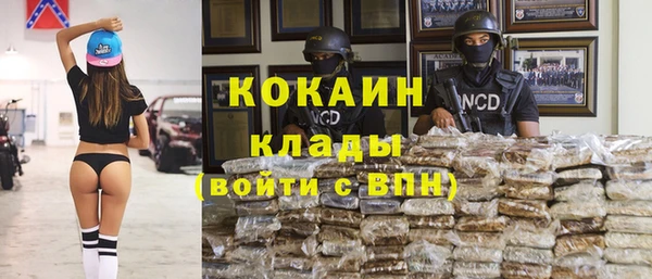 прущие грибы Армянск