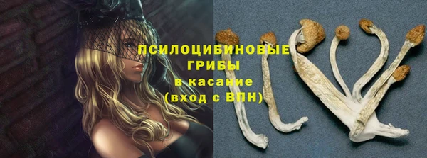 МДМА Арсеньев