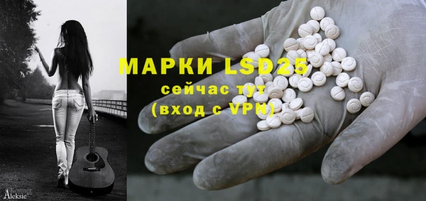 прущие грибы Армянск