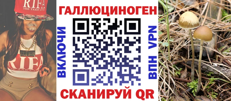Купить  Сланцы  Псилоцибиновые грибы MAGIC MUSHROOMS 